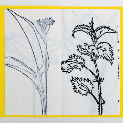 "Kleines Küchen-Herbarium". 8 Linolschnitte von Gartenkräutern, entsprechend der Zutatenliste einer im April 2014 zubereiteten Kräuterquiche. Handabzug auf Küchenpapier, Einband aus synthetischem Bodentuch-Vlies. 2014