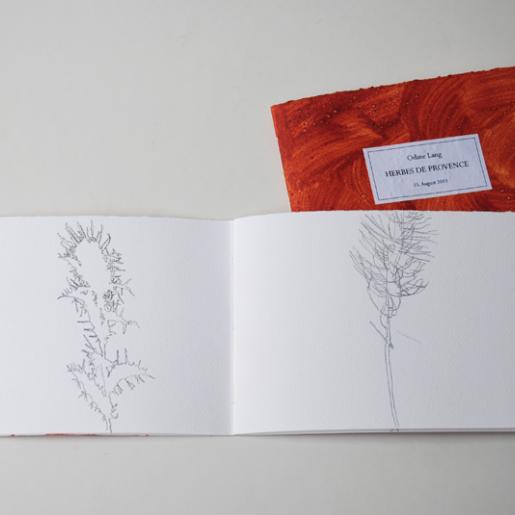 "Herbes de Provence". 2 Hefte mit Bleistiftzeichnungen. Schattenrisse von Kräutern. 12 x 16 cm. Esparron de Verdon 2011