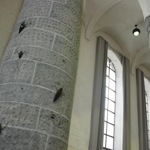 "Armada". Installation mit Papier-/Drahtobjekten in der Aula Carolina, Aachen, März 2014