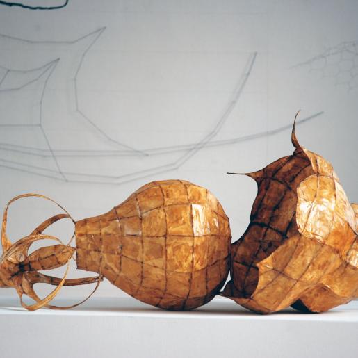 "Pedunculata". Papierobjekt, 4-teilig. Eisendraht, Japanpapier, Schelllack. 90 x 60 x 60 cm. Ausstellungsansicht Atelierhaus Aachen 2008