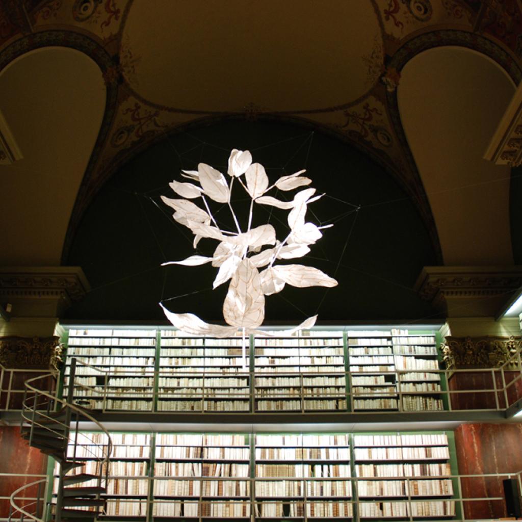 "Wolfsmilch". Installation. 67 Papierobjekte. Eisendraht, Japanpapier. ca. 2,20 x 2 x 2m. Herzog August Bibliothek Wolfenbüttel, 2019